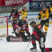 Rückschlag für die Pioneers