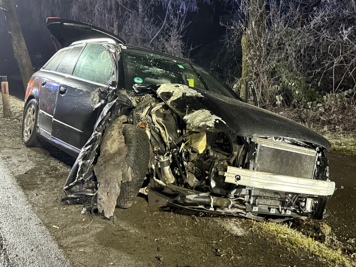 Am Sonntagabend ist in Hohenems ein Pkw-Lenker mit dem Auto seines Großvaters gegen einen Baum geprallt.⇒vlach