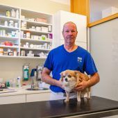 Stressfrei in ein tierisches neues Jahr