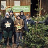 Mehr als nur ein Christbaum