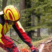 Pfanner legt heuer zweistellig zu
