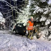 Lenker kollidiert mit Baum auf der L9