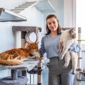 Wo Kater Winnie und Co. Urlaub machen