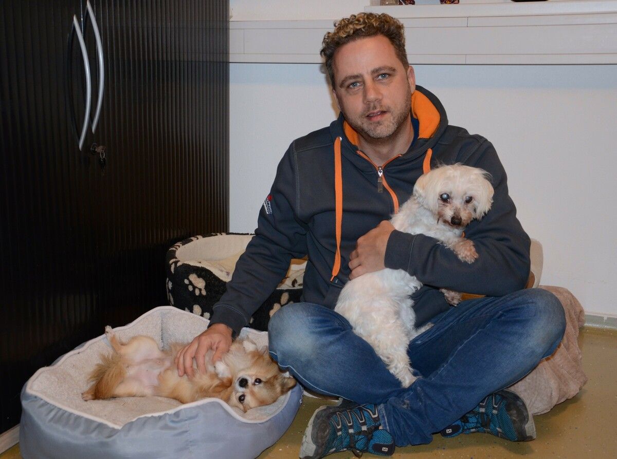 Der zehnjährige Chihuahua und die 16-jährige Malteserhündin gehören zu Marco Milohnics Familie. ⇒HRJ