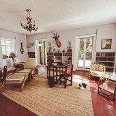 Hemingway und seine Katzen