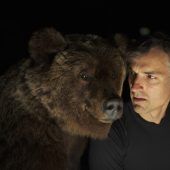 Der Bär ist los