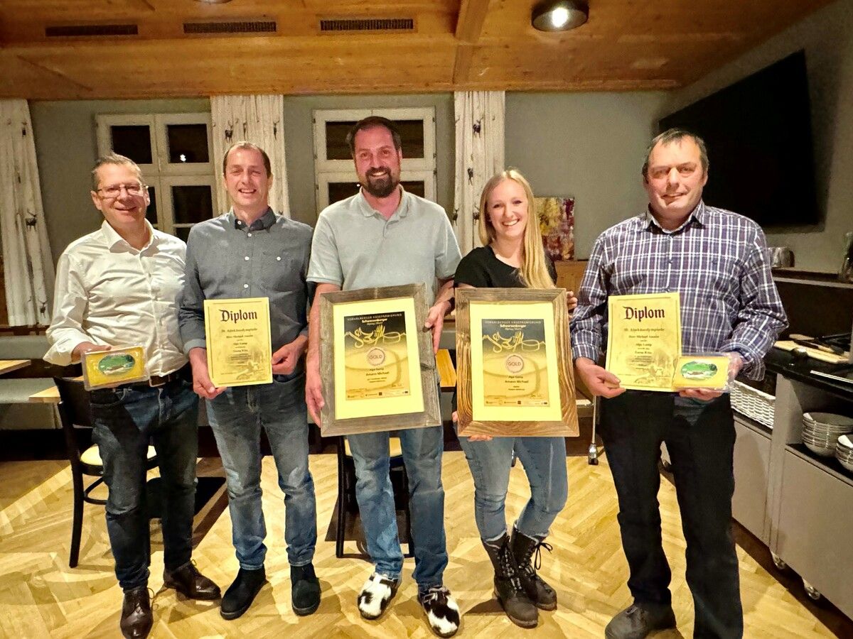 Alpe Gamp im Goldregen