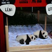 Leni und Lotti