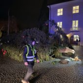Tanne umgestürzt