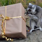 Gesunde Geschenke