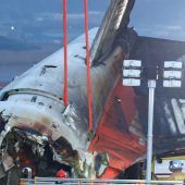 Flugzeug zerschellte bei Landung in Südkorea. »D8