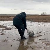 Ölpest: Notstand am Schwarzen Meer