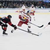 Pioneers kämpfen sich nach oben
