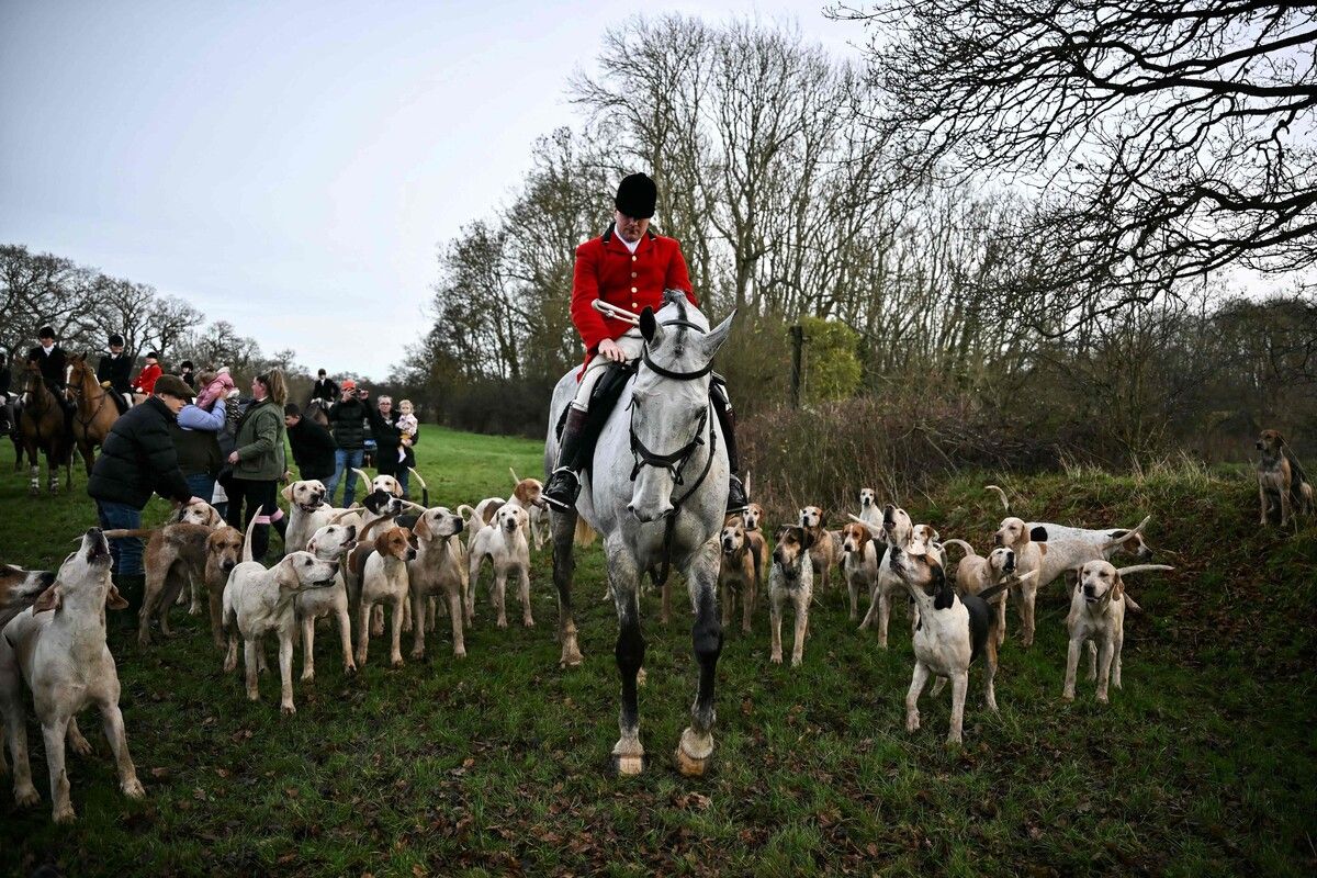 Kritik an Jägern in England: Sie sollen Schlupflöcher ausnutzen.⇒AFP