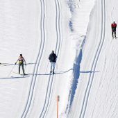 Navi lotste Amerikaner mit seinem Pkw auf Tiroler Langlaufloipe