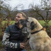 „Oft werden Tiere nach den Feiertagen wieder abgegeben“