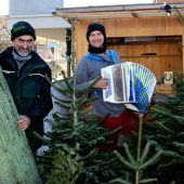 Eine „Pfändertanne“ für Weihnachten