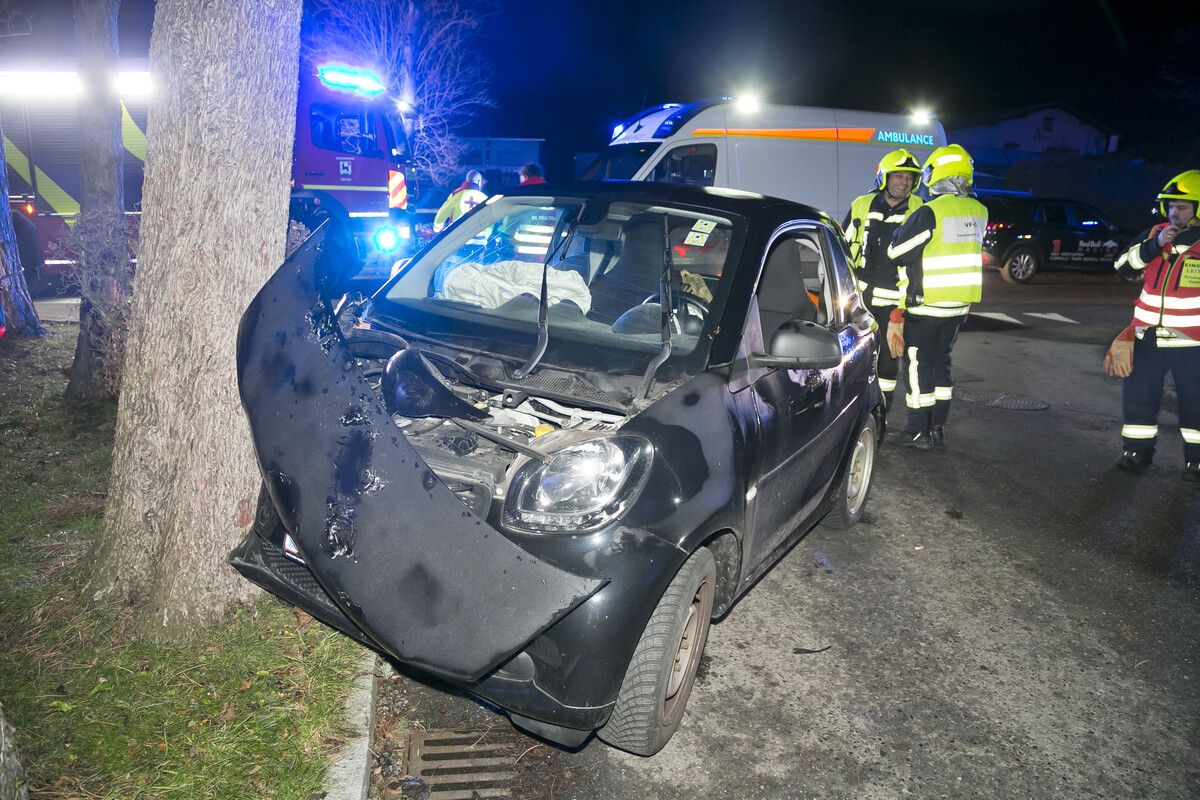Zumindest der mitgeführte Hund blieb beim Unfall unverletzt.⇒Mathis