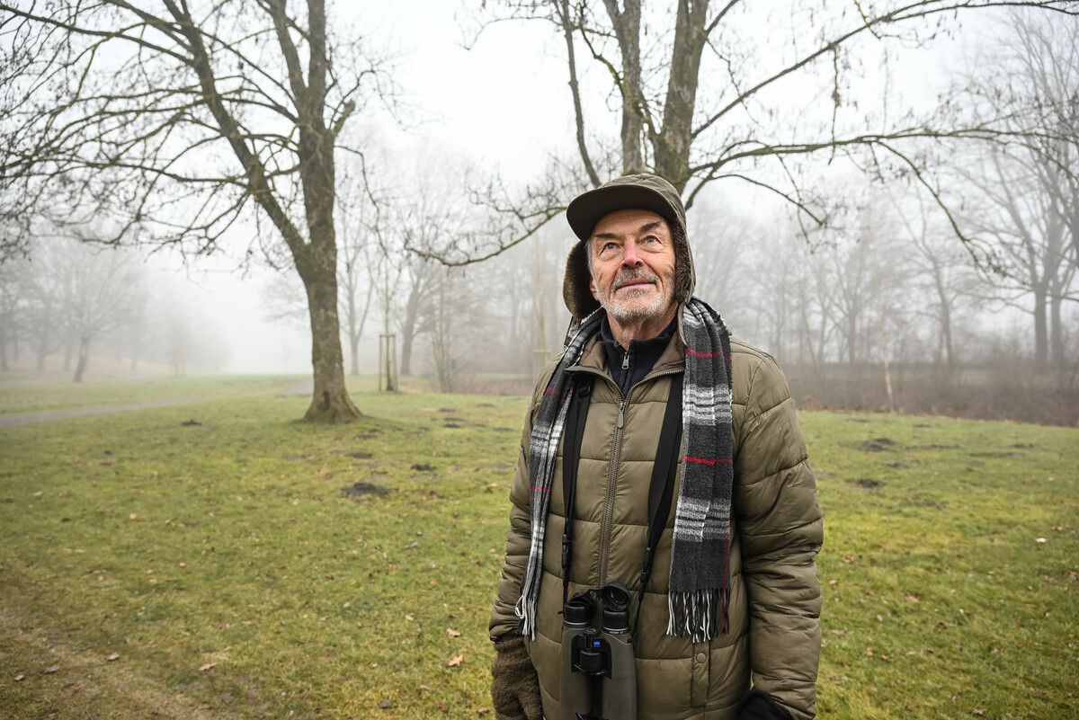 Alwin Schönenberger (73) ist zweimal wöchentlich am Alten Rhein und beobachtet die Singvögel. ⇒BVS (2)