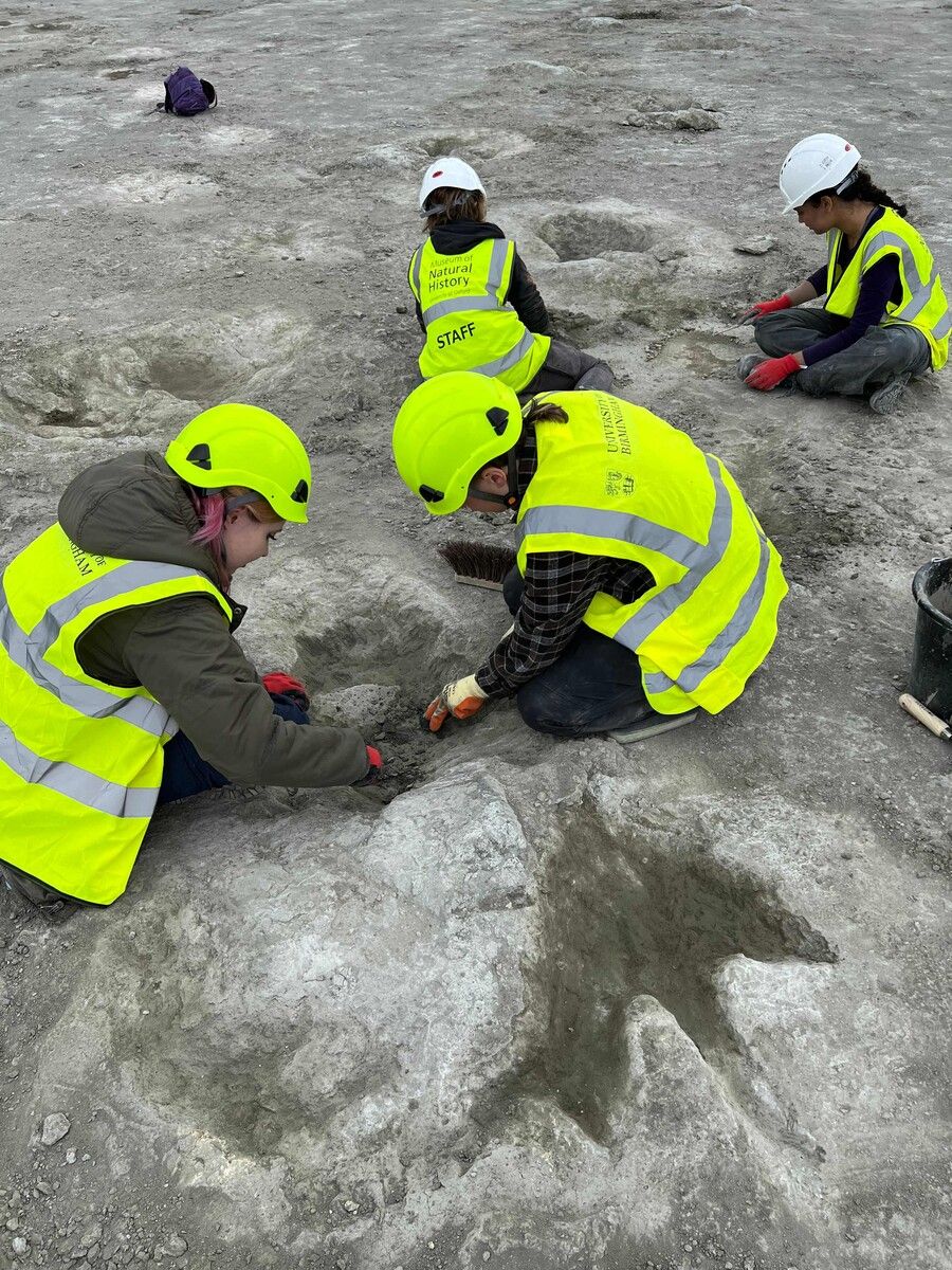 Die Fußabdrücke sind rund 166 Millionen Jahre alt. Die Forscher haben mehr als 20.000 Bilder gemacht und ein 3D-Modell entworfen.⇒AFP