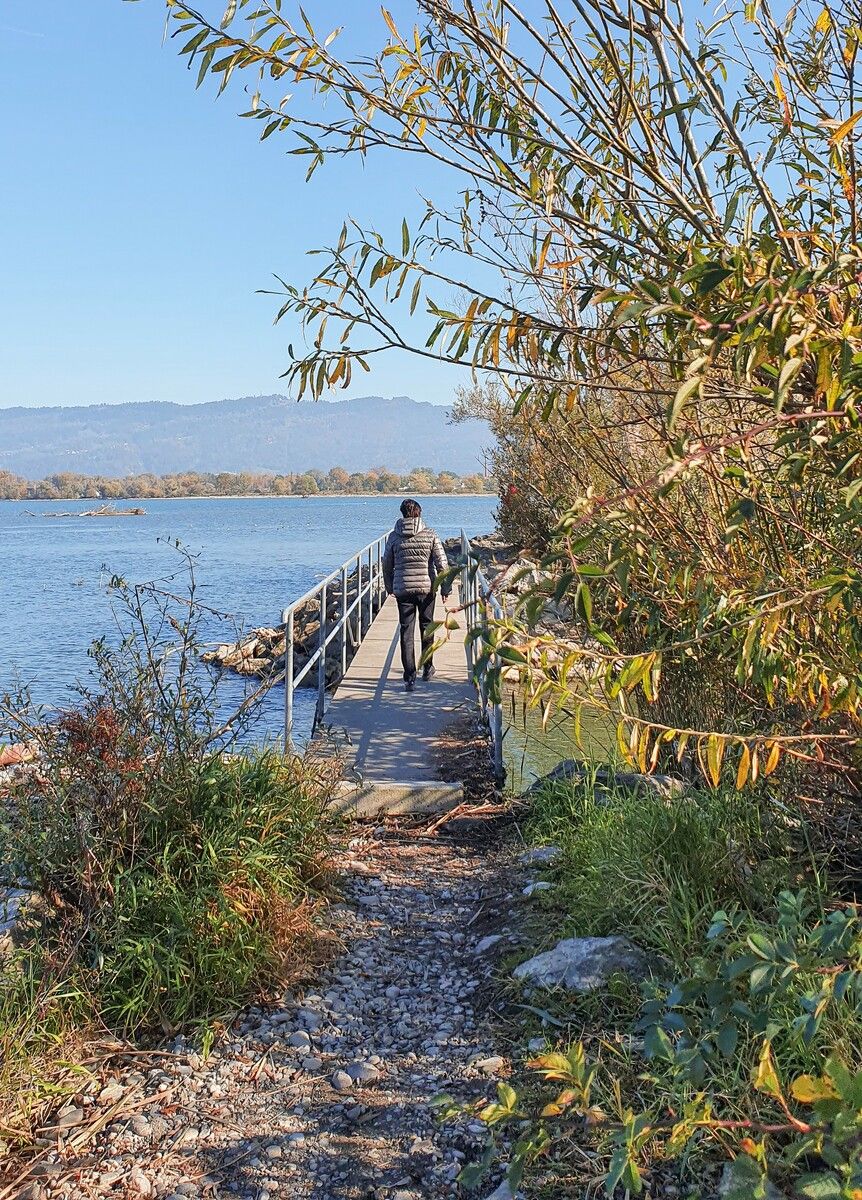 Die Harder Schleienlöcher stehen am 25. April auf dem Plan der „Vorarlberger Natursafaris“. S. Rhomberg