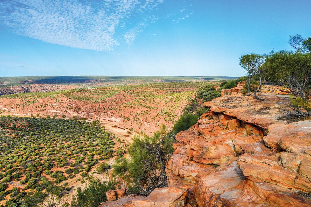 Die karge Landschaft des Cape Range Nationalparks ist Heimat vieler Tiere.⇒Shutterstock