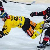 Pioneers lassen nicht locker
