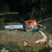 Trauriger Rekord bei Forstunfällen