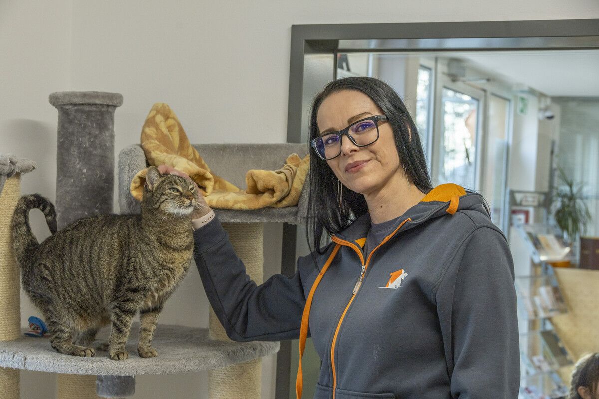 Marion Gögele vom Vorarlberger Tierschutzheim warnt ausdrücklich vor tierischen Geschenken: „Bitte keine Tiere verschenken.“ ⇒VN/PAULITSCH (3)