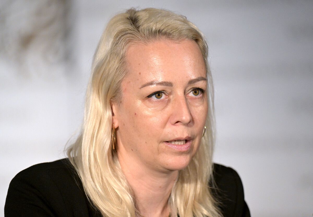 Steger unterstrich die Bedeutung eines einfachen Zugangs.⇒ APA