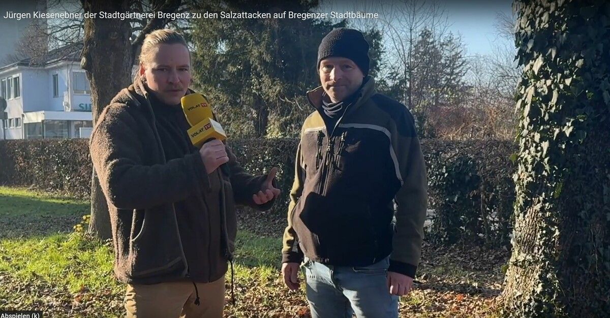 Zwei Bäume seien abgestorben, erklärt Kiesenebner (r.) im Interview.