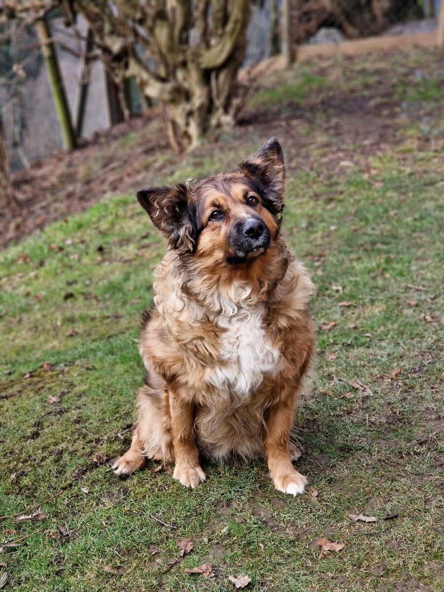 Aika möchte trotz ihres Alters noch viele Abenteuer erleben.