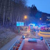 Knallköpfe fackeln Wald ab