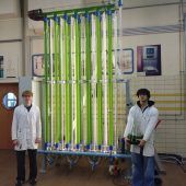 Photobioreaktor für nachhaltige Industrie