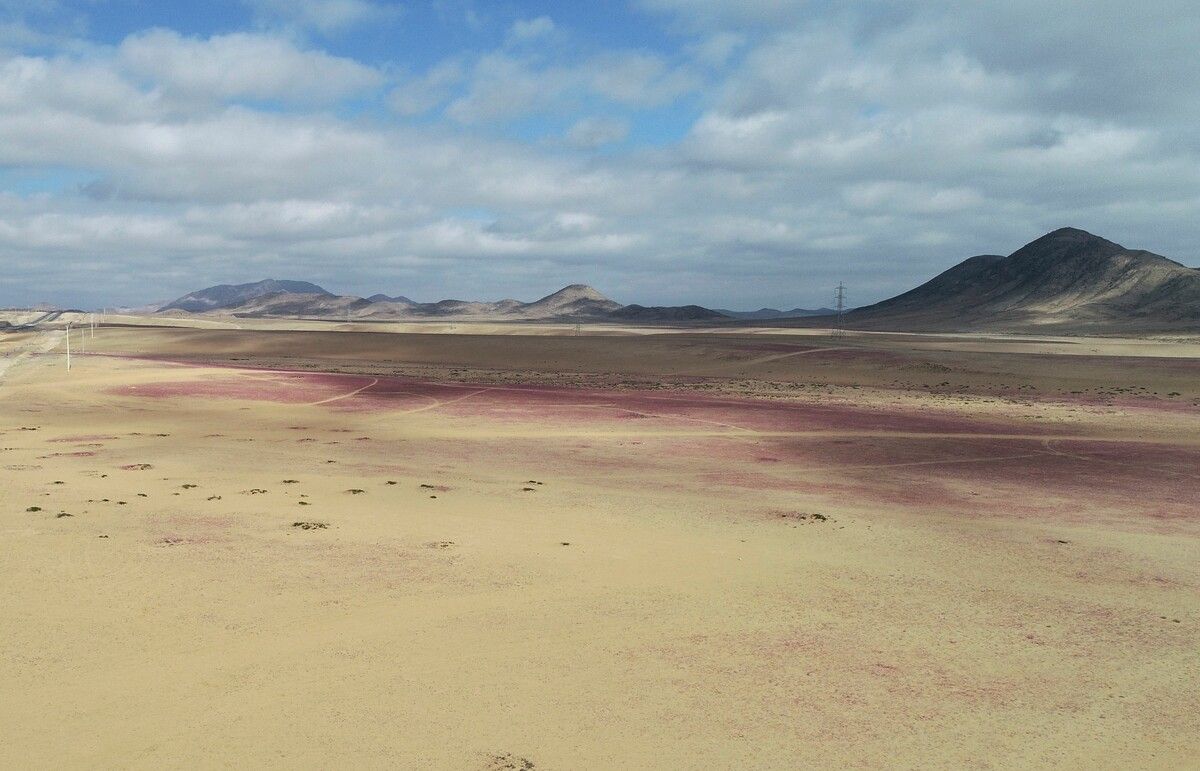 Die Atacama-Wüste gilt als eine der trockensten Regionen weltweit.⇒AFP