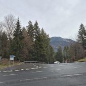 Verkehrsinsel wegen Insekten gescheitert