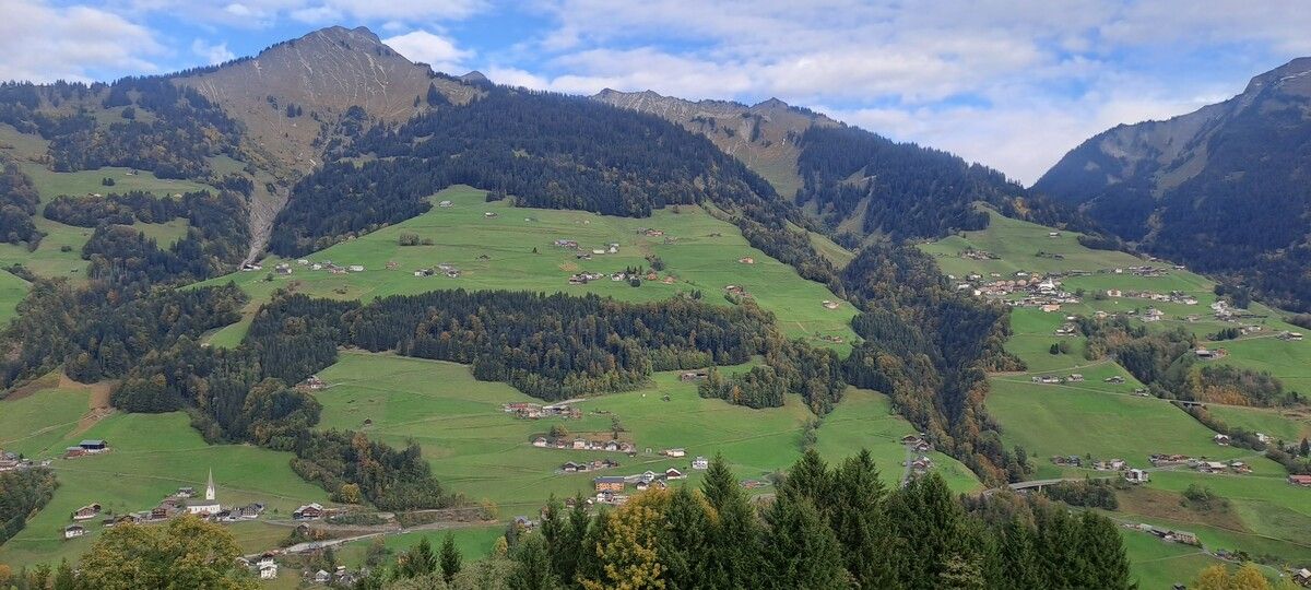 Die Wälder oberhalb der Gemeinde Sonntag sind exemplarische Beispiele für Objektschutzwälder, ohne die eine Bewohnbarkeit nicht möglich wäre.⇒STO