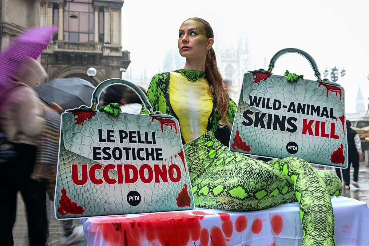 Eine PETA-Aktivistin protestiert als Python verkleidet gegen die Verwendung von Schlangenhäuten in der Modeindustrie. afp