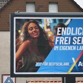 Erbin spendet AfD sechs Millionen Euro
