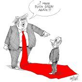 Roter Teppich!
