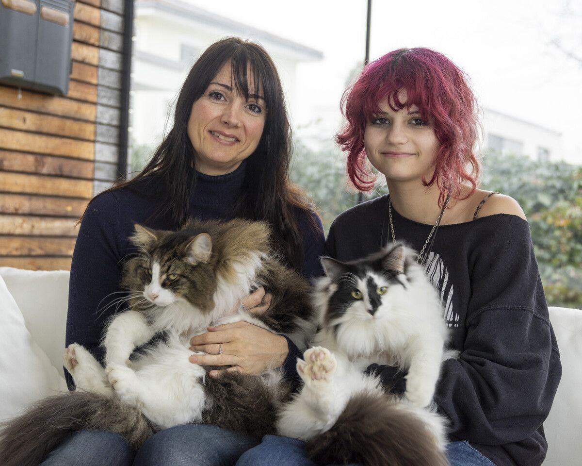 Finni und Yoko Ono haben wenig Lust zum Stillsitzen, Constance Stickler und Indira nehmen es gelassen.