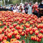 Bilder des Tages