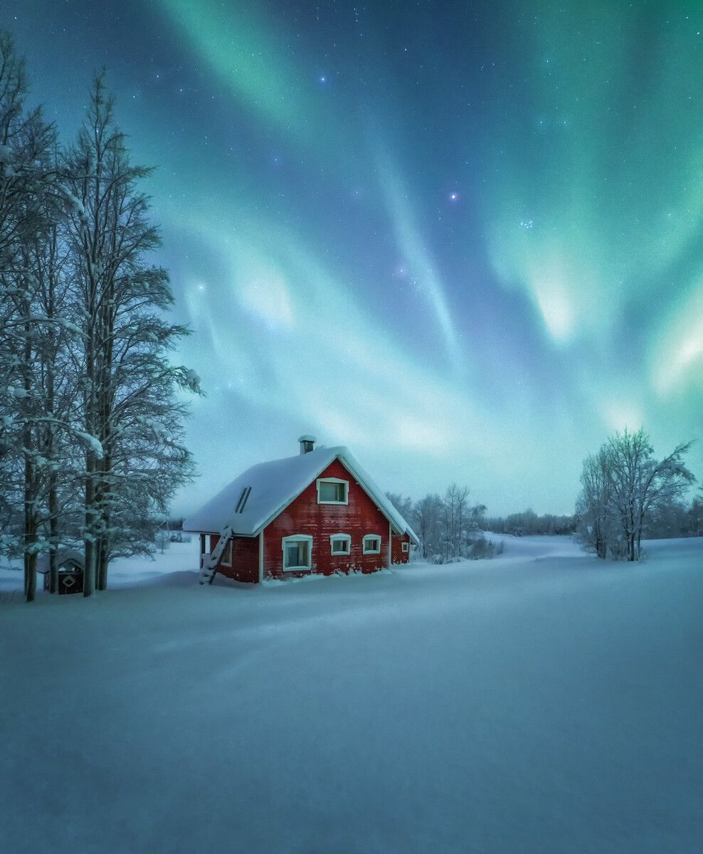 In diesem Jahr sind die Polarlichter aufgrund von erhöhter Sonnenaktivität besonders gut zu sehen. Shutterstock
