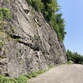 Beliebter Klettergarten in Feldkirch wird für mehrere Jahre gesperrt