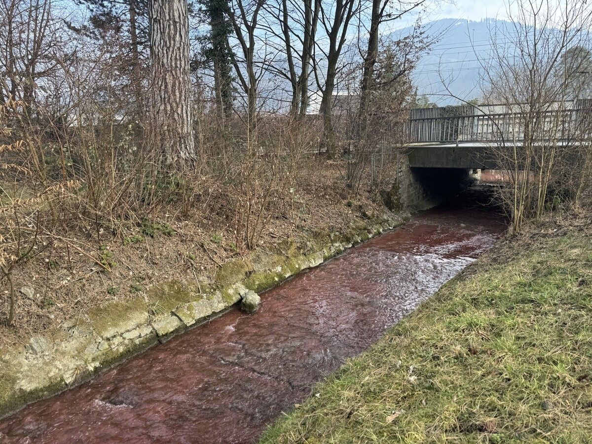 Rot war am Montag das Wasser des Fischbachs in Dornbirn. ⇒VLS