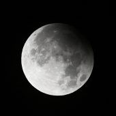 Alle Augen auf den Mond