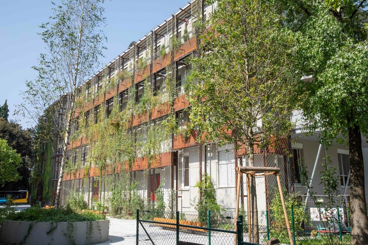 Am AK-Gebäude in Feldkirch wächst die größte Grünfassade im Land – sie ersetzt eine Klimaanlage. ⇒Handout
