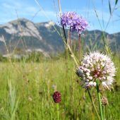 50 Jahre ­Naturschutzgebiet