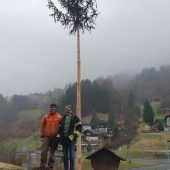 Ein Baum für den Bürgermeister