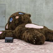 Zeitgenössische Kunst erobert Bregenz